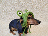 Frog Dog Bucket Hat, summer panama cap with open ears dachshund, pet clothes photo shoot gift dog's mom