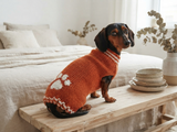 Sweater outfit wool winter for pets dog dachshund with paw