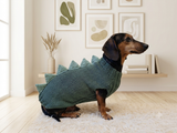 Cozy Dinosaur Dog Jumper – Unique Pet Gift for Small Dogs