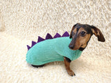 Custom Knitted Dinosaur Outfit for Dachshund – Winter Dog Apparel