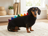 Rainbow dinosaur knitted dog sweater, dog clothes sweater rainbow dinosaur, rainbow dog jumper