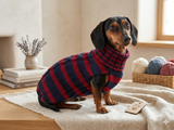 Wool winter striped pet jumper, dog sweater, dog clothes, dachshund warm vest
