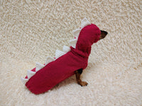 Dachshund Halloween Dinosaur Outfit Costume Sweater and Hat