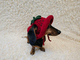 Strawberry Panama Dog Hat Summer Open Ear Hat for Dachshund Pet Clothes Photo Shoot Gift for Dog Mom