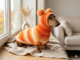 Wiener costume sweater and hat, Doxie sweater and hat set, clothes for small dog of dachshund