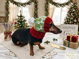 Reindeer Winter knitted hat for small dog,hat for dogs, pet clothes, winter hat for dog, handmade hat, hat dachshund, knitted hat, gift hat