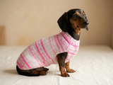 Bright sweater for a petite dachshund, Pet clothes patterned sweater,dachshund clothes sweater