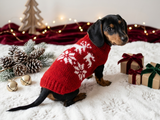 Christmas wool sweater with deer and snowflakes for pets, sweater deer for dog, christmas pet jamper with deer for dachshund