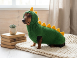 Dog dinosaur knitted clothes sweater, dinosaur sweater for dogs, original dog clothes dinosaur sweater