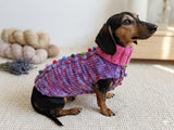 Original dog sweater with arans and pom-poms Rainbow melange dog sweater with cable knit, warm knitted winter dachshund outfit pet clothes