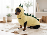Dinosaur Dragon Costume Sweater and Hat Zoo Animal Clothes