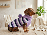 Striped sweatshirt for pets, hoodie for dogs, striped hoodie for dachshund