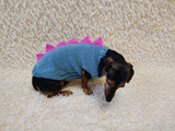 Dinosaur Dog Sweater - Hand-Knitted Dachshund Outfit