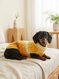 Knitted Melange Wool Pet Jumper Dog Clothes Sweater With Braid, jumper for small dogs, clothes sweater for dogs