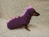 Cute Dino Dog Outfit – Personalized Handcrafted Dog Sweater Set