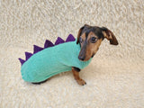 Custom Knitted Dinosaur Outfit for Dachshund – Winter Dog Apparel