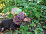 Handmade Dachshund Beanie, Knitted Dog Snood with Pom Pom, Winter Puppy Hat, Small Pet Ear Warmer, Custom Dog Apparel