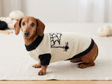 Halloween costume with spider for dachshund dog