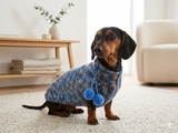 Wool aran sweater for mini dachshund or small dog, dachshund puppy sweater, terrier sweater, small dog sweater