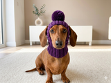 Hat for dog with pompom and holes for the ears