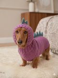 Dragon Dinosaur Winter Dog Clothes Costume Jumper and Hat
