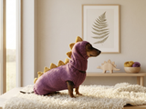 Custom Dinosaur Dog Hoodie Sweater – Cozy Handmade Pet Clothing