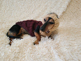 Sweatshirt winter coat for dogs, jumper for dachshunds, hoodies for pets