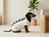 Funny Dinosaur Dog Sweater – Handmade Crochet Pet Clothing