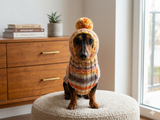 Lollipop suit for mini dachshund sweater and hat,suit set sweater and hat for dog,wiener sweater and hat, dog set sweater and hat set
