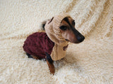Sweatshirt winter coat for dogs, jumper for dachshunds, hoodies for pets
