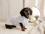 Spring sweater for dog with butterflies and flowers, clothes for dachshund with flowers and butterflies