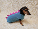 Dinosaur Dog Sweater - Hand-Knitted Dachshund Outfit