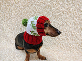 Spruce branch Paw Print Dog Hat PomPom, Designer Pet Party Clothes outfit, Warm Winter knitted Dachshund cap with Pattern, gift dogs lover