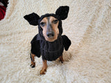 Bat Dog Costume, Knitted Puppy Halloween Outfit, Cute Vampire Bat Hoodie with Wings and Ears, Small Dog and Dachshund Apparel