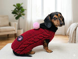Dachshund Sweater with Pom Pom, Knitted Dog Clothes for Dachshunds, Custom Weenie Dog Coat, Dachshund Gift, Red Cable Knit Dog Sweater