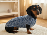 Size L Sweater for mini dachshund with arana,dachshund cloches wool sweater