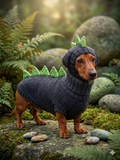 Dinosaur costume for dogs, dachshund dinosaur costume sweater and hat, dino dog cloches, dino dog sweater