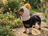 Alpaca Wool Dog Leggings and Hat Set