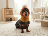 Candy Corn Dog Hat,hat for dog popcorn, halloween hat for dog popcorn, hat for dachshund popcorn