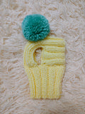 Hat for dog with pompom and holes for the ears