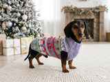 Christmas pet outfit, christmas jumper dog photoshoot,christmas gift for dog lover,dachshund christmas clothes