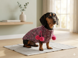 Wool aran sweater for mini dachshund or small dog, dachshund puppy sweater, terrier sweater, small dog sweater