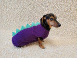Knitted Dinosaur Costume for Dogs - Custom Dachshund Sweater