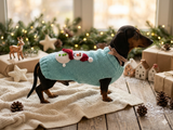 Christmas jumper outfit with snowman for dog pet