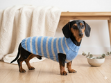 Handmade striped knitted sweater for dog, clothes for dachshund, sweater for dog