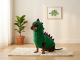 Matching Dog Sweater and Hat – Adorable Dinosaur Pet Apparel