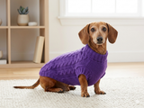 Purple knitted sweater for dogs, clothes for dachshunds, sweater for dogs, clothes for dogs, sweater for small dogs, dachshund sweater