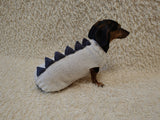 Funny Dinosaur Dog Sweater – Handmade Crochet Pet Clothing