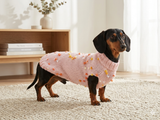 Pink Floral Mini Dachshund Jumper, Dog Coat, Clothes Dog Sweater