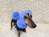 Clothing for miniature dachshund or small dog hat with two pompons